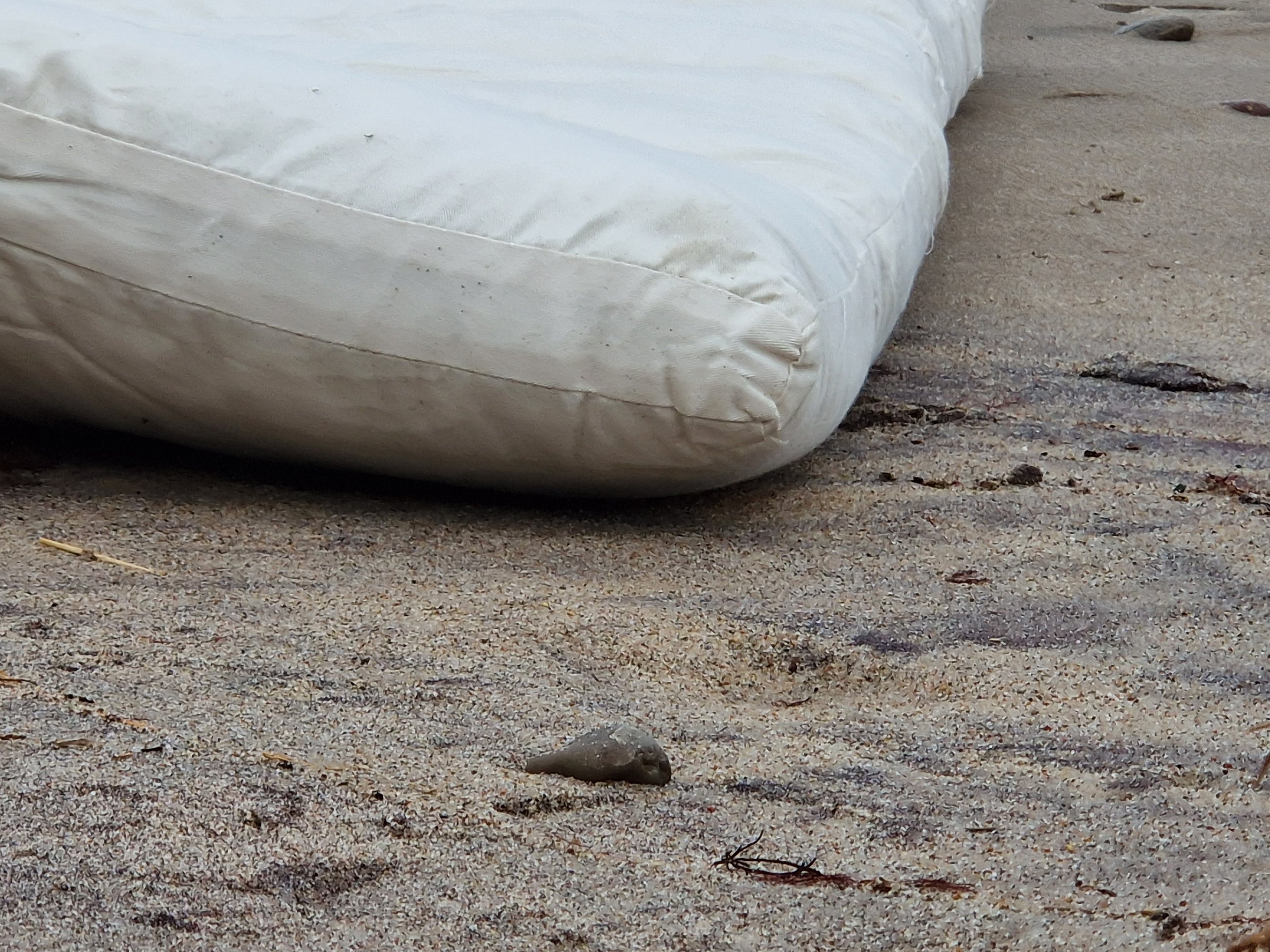 Travel & Gäste-Futon 100% Baumwolle – natürlich, kompakt und komfortabel